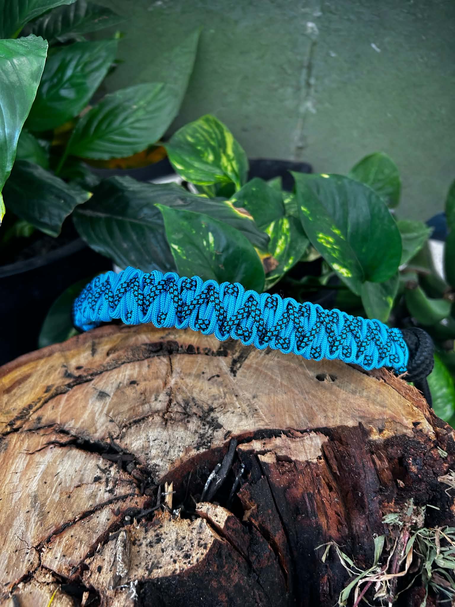 Electric Blue