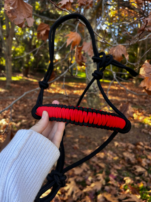 Crimson Eclipse